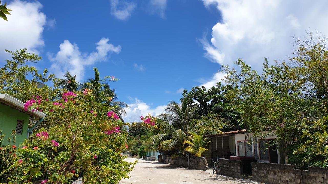 Asaa View Maldives Hotel Feridhoo Exterior photo